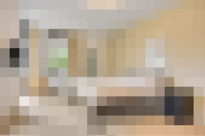 Willem de Zwijgerlaan 24 Vught thumbnail 19