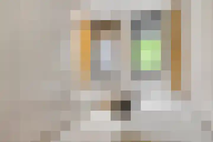 Willem de Zwijgerlaan 24 Vught thumbnail 20