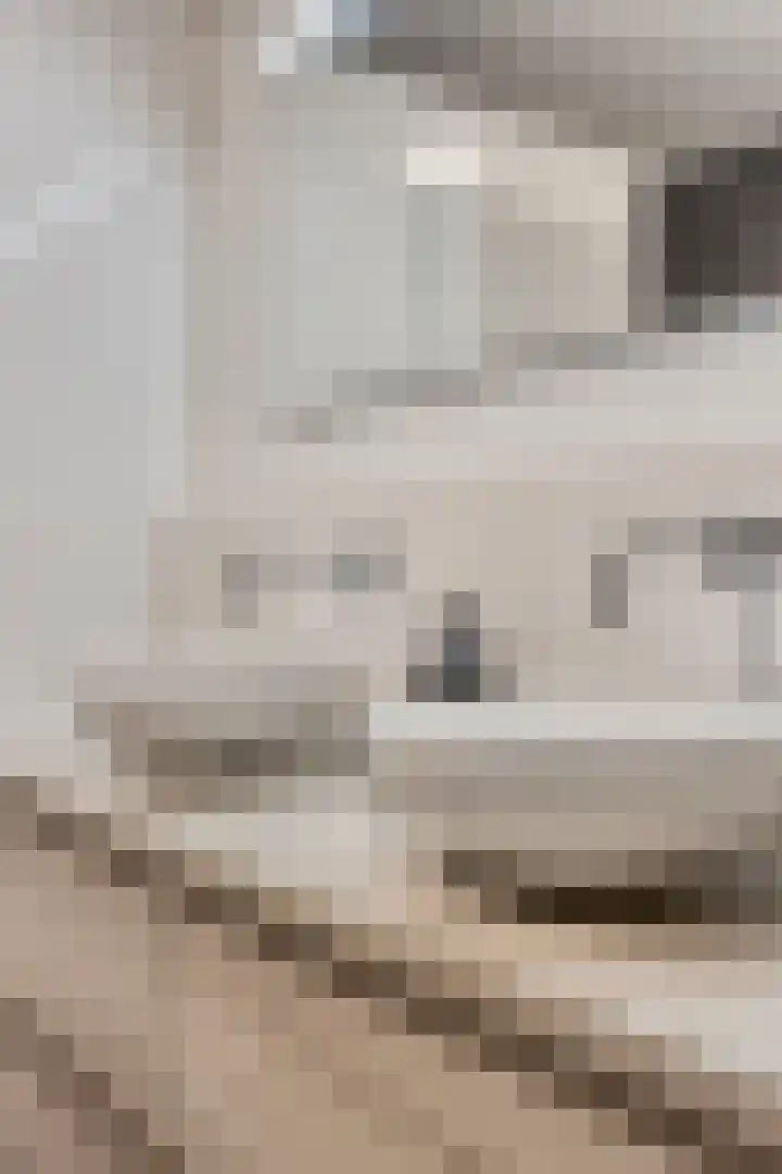 Willem de Zwijgerlaan 24 Vught thumbnail 24