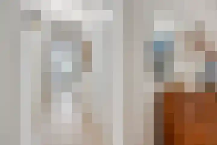 Willem de Zwijgerlaan 24 Vught thumbnail 26