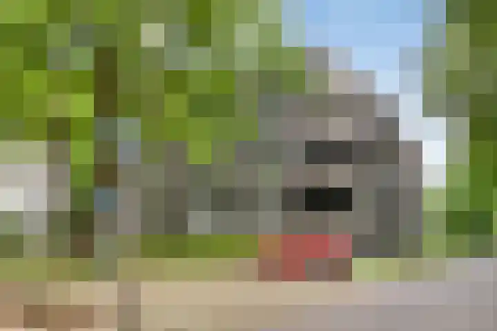 Willem de Zwijgerlaan 24 Vught thumbnail 36