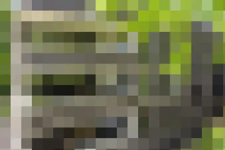 Willem de Zwijgerlaan 24 Vught thumbnail 37