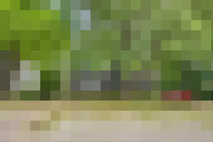 Willem de Zwijgerlaan 24 Vught thumbnail 38