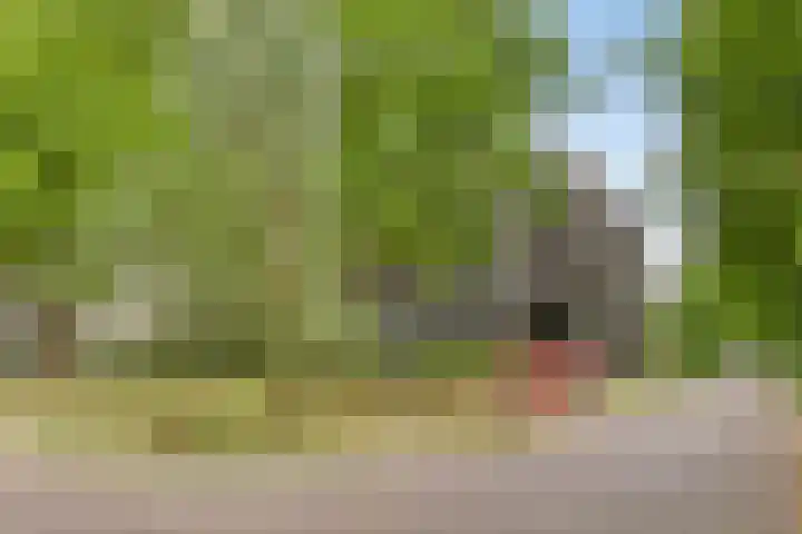 Willem de Zwijgerlaan 24 Vught thumbnail 39