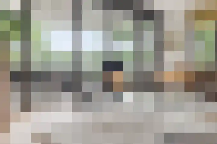 Willem de Zwijgerlaan 24 Vught thumbnail 4