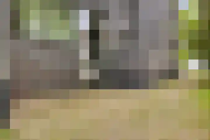 Willem de Zwijgerlaan 24 Vught thumbnail 42