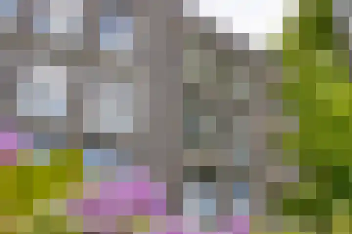 Willem de Zwijgerlaan 24 Vught thumbnail 43