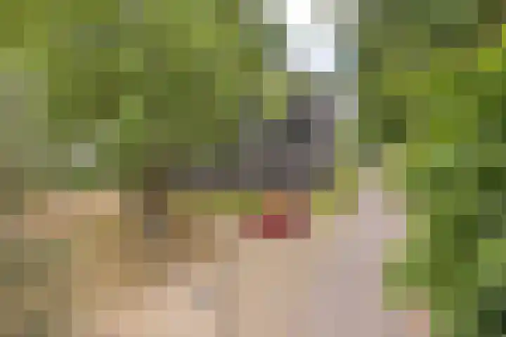 Willem de Zwijgerlaan 24 Vught thumbnail 45