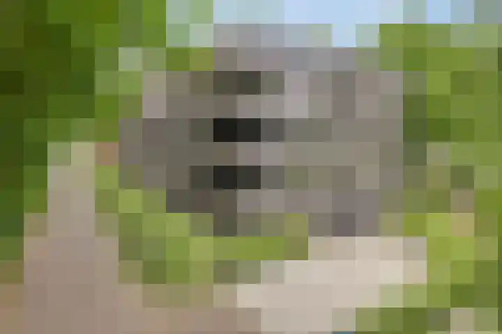 Willem de Zwijgerlaan 24 Vught thumbnail 46