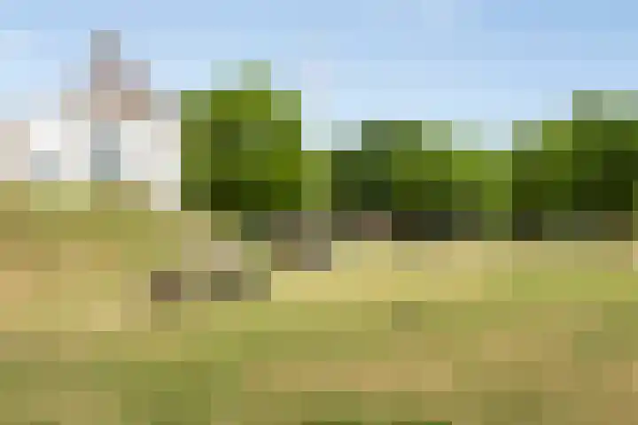 Willem de Zwijgerlaan 24 Vught thumbnail 48
