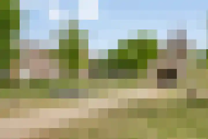 Willem de Zwijgerlaan 24 Vught thumbnail 49