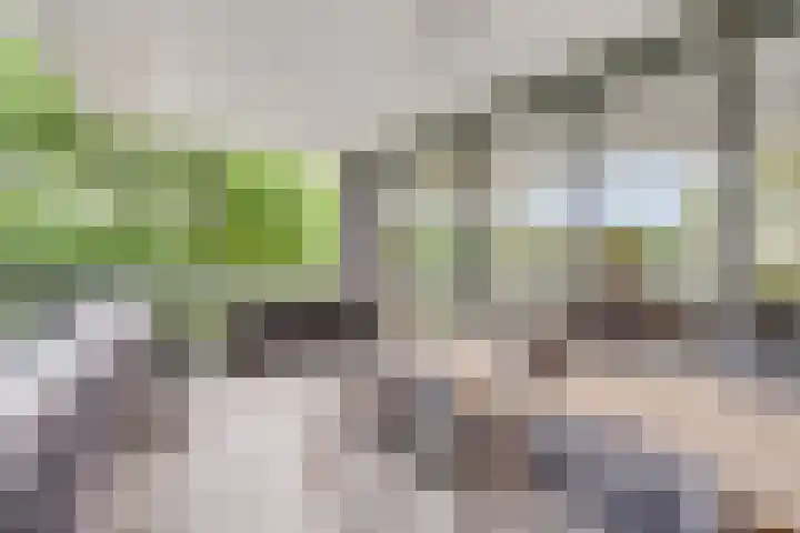 Willem de Zwijgerlaan 24 Vught thumbnail 5