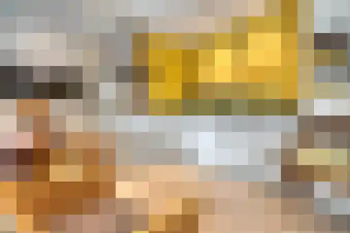 Willem de Zwijgerlaan 24 Vught thumbnail 8