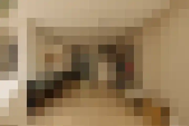 Willem de Zwijgerlaan 243 A Amsterdam thumbnail 14