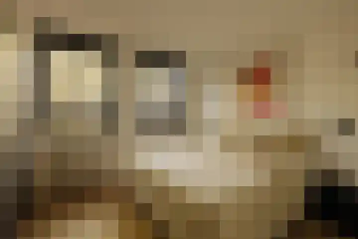 Willem de Zwijgerlaan 243 A Amsterdam thumbnail 16