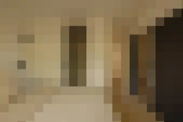 Willem de Zwijgerlaan 243 A Amsterdam thumbnail 17