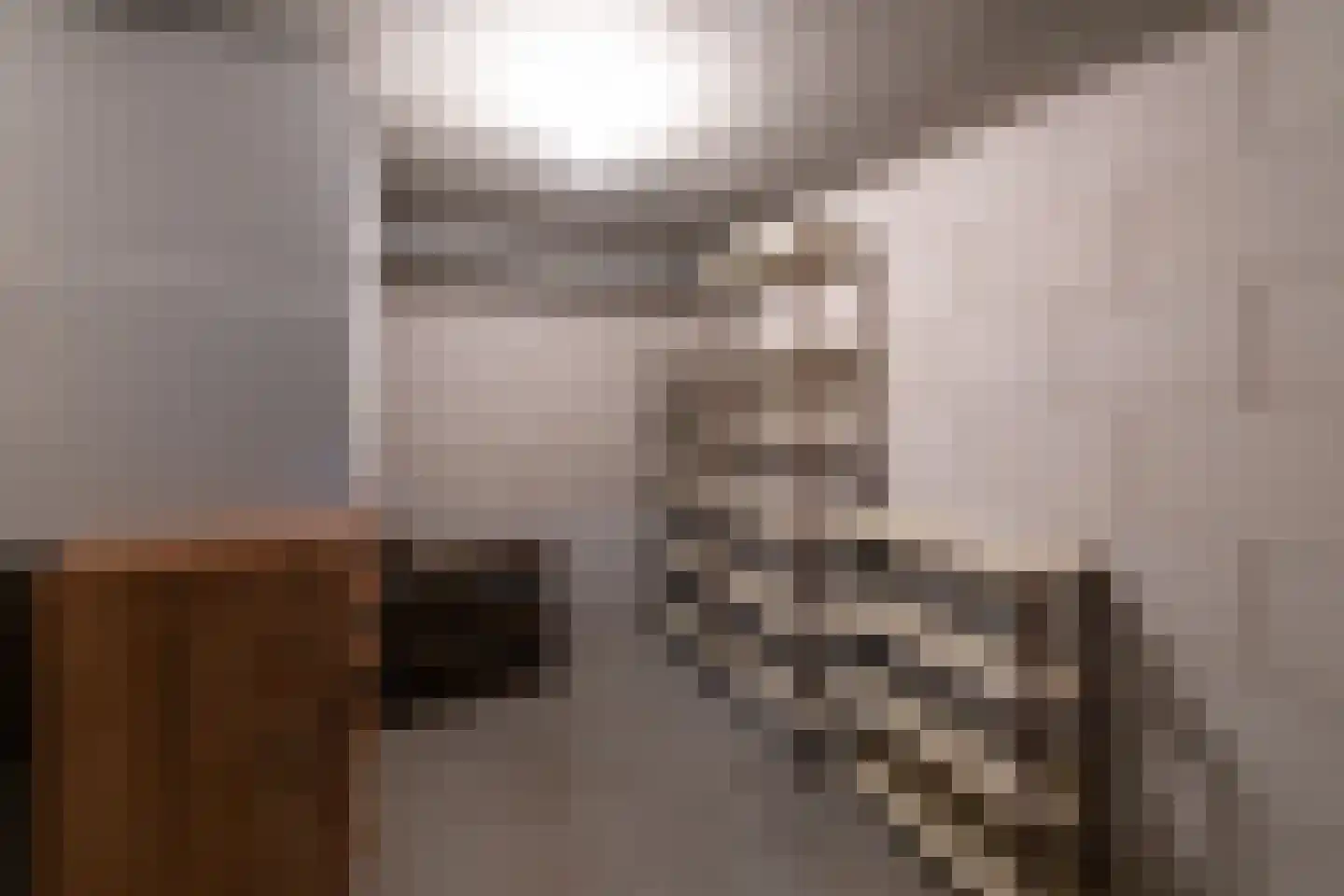 Willem de Zwijgerlaan 243 Alkmaar thumbnail 31