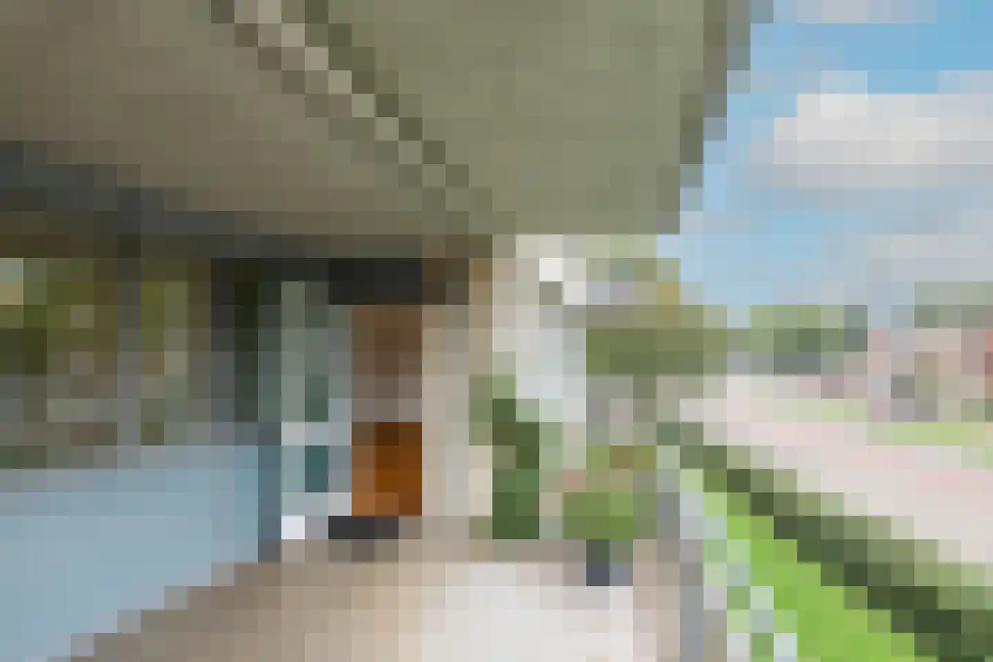 Willem de Zwijgerlaan 243 Alkmaar thumbnail 7