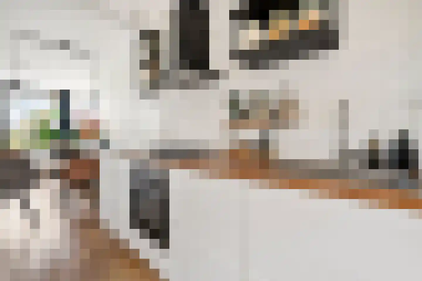 Willem de Zwijgerlaan 243 D Amsterdam thumbnail 10