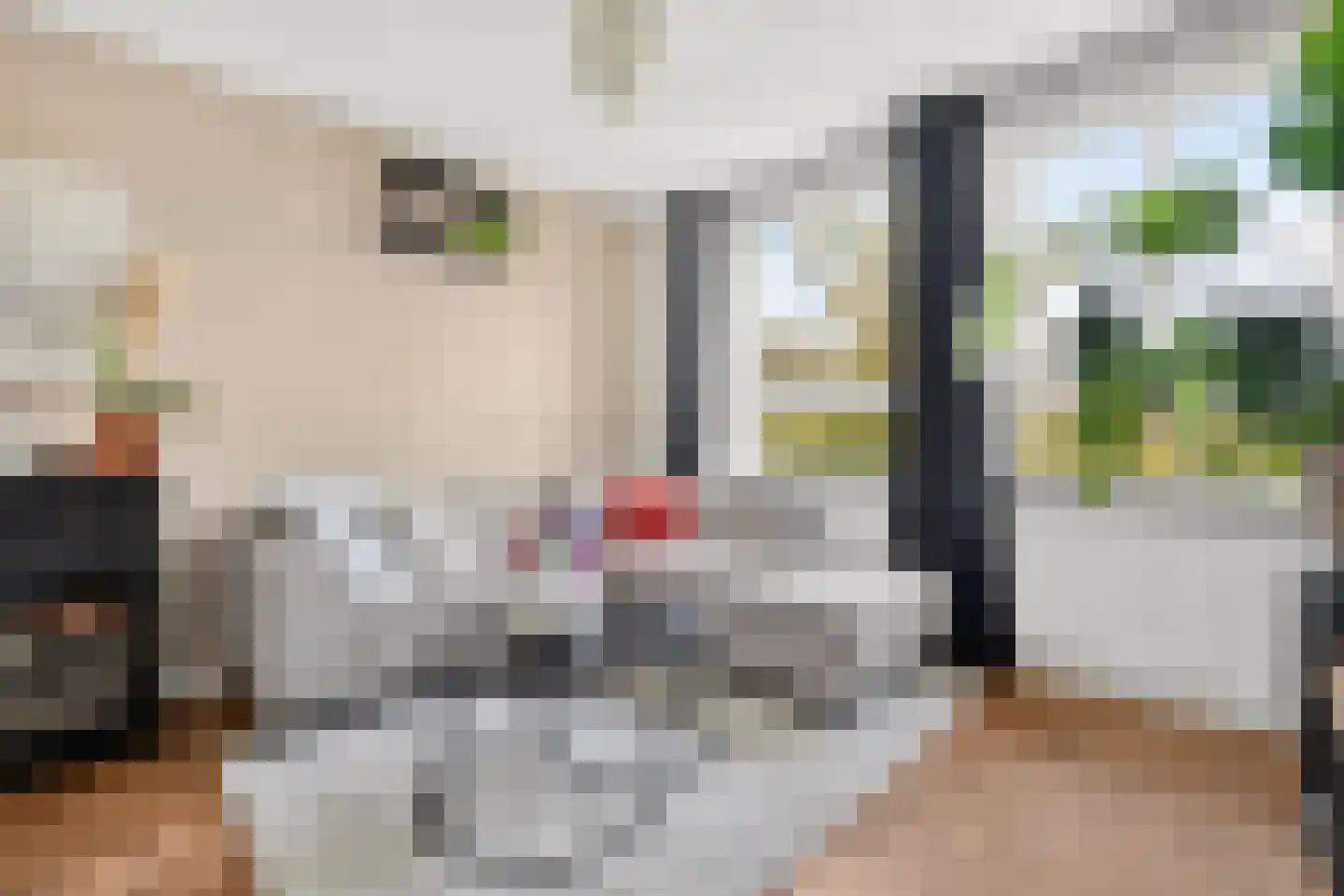 Willem de Zwijgerlaan 243 D Amsterdam thumbnail 4