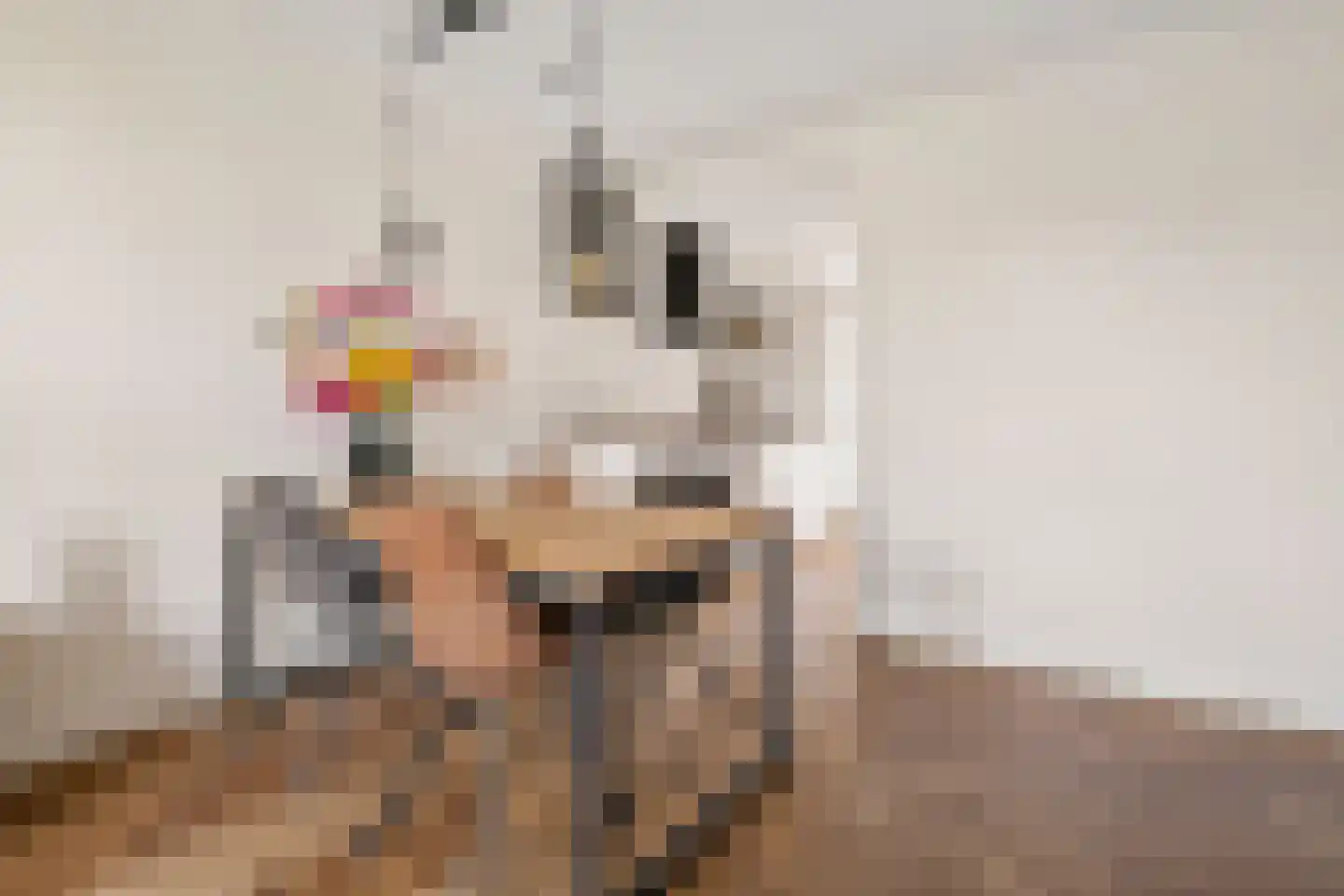 Willem de Zwijgerlaan 243 D Amsterdam thumbnail 8