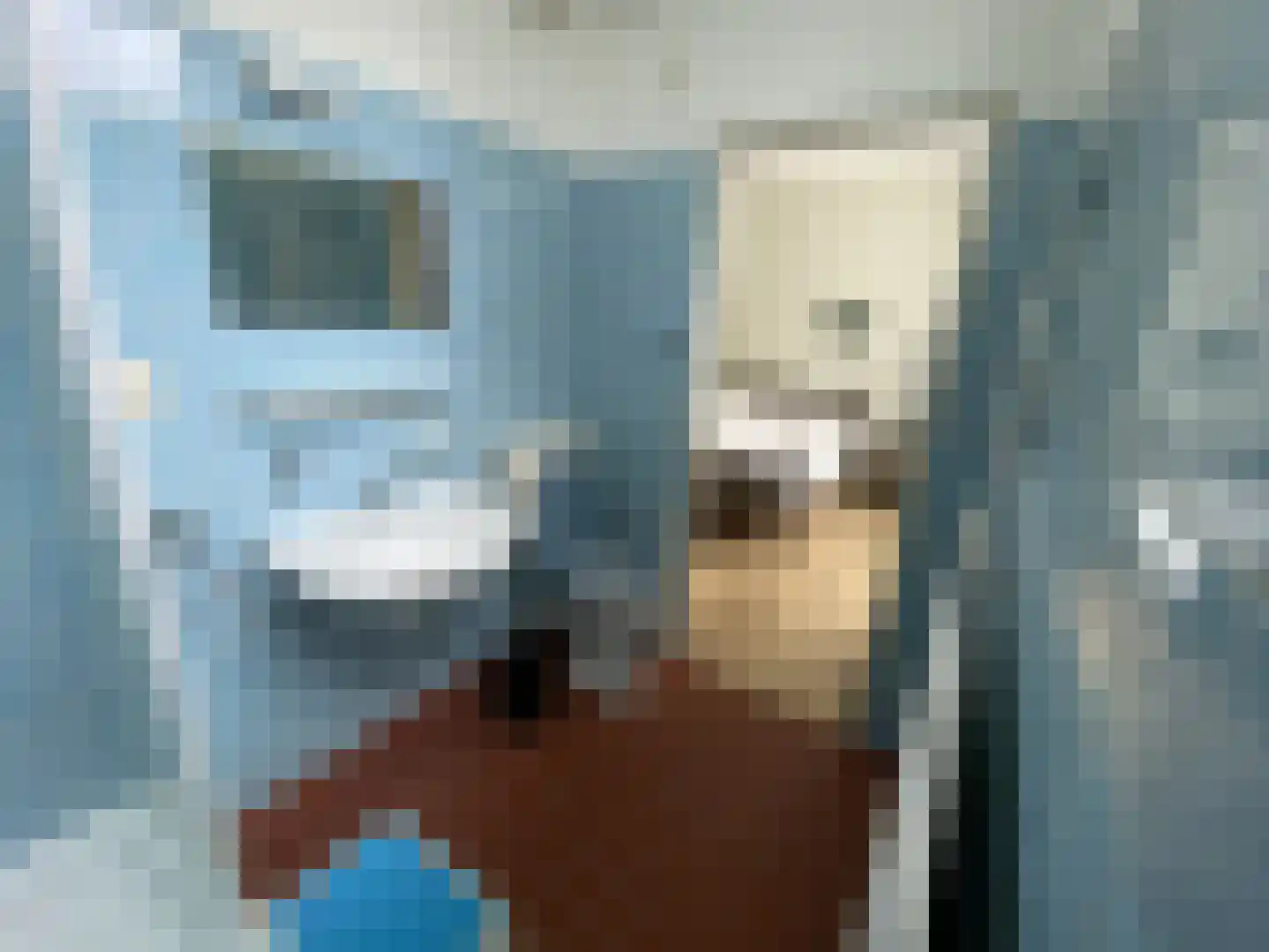 Willem de Zwijgerlaan 244 Alkmaar thumbnail 14