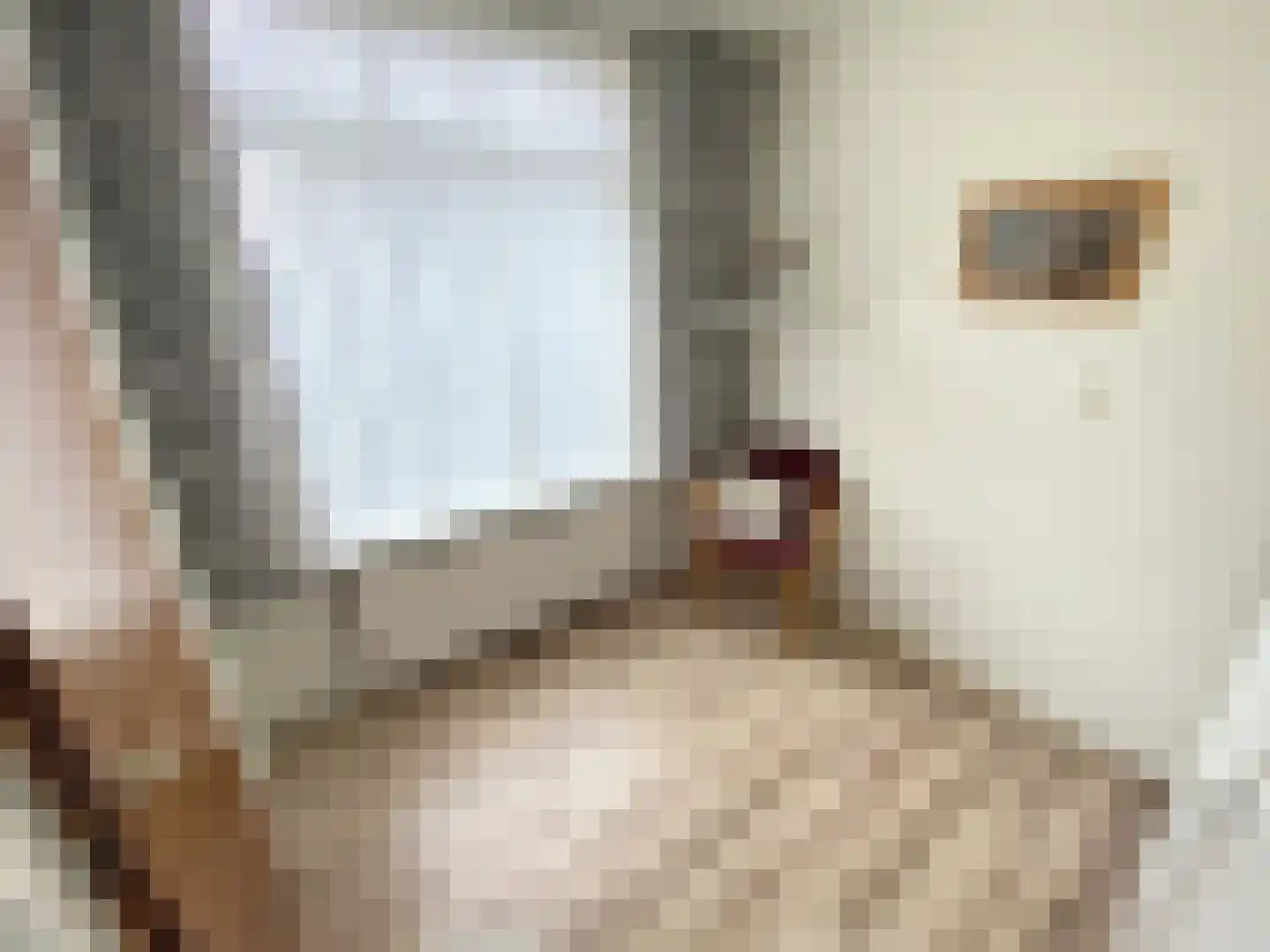 Willem de Zwijgerlaan 244 Alkmaar thumbnail 16