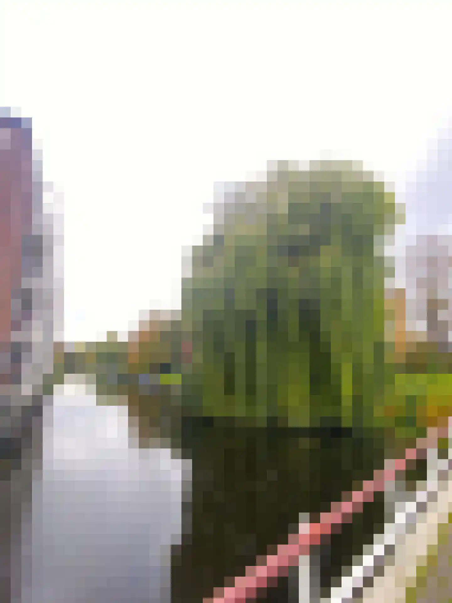 Willem de Zwijgerlaan 244 Alkmaar thumbnail 26