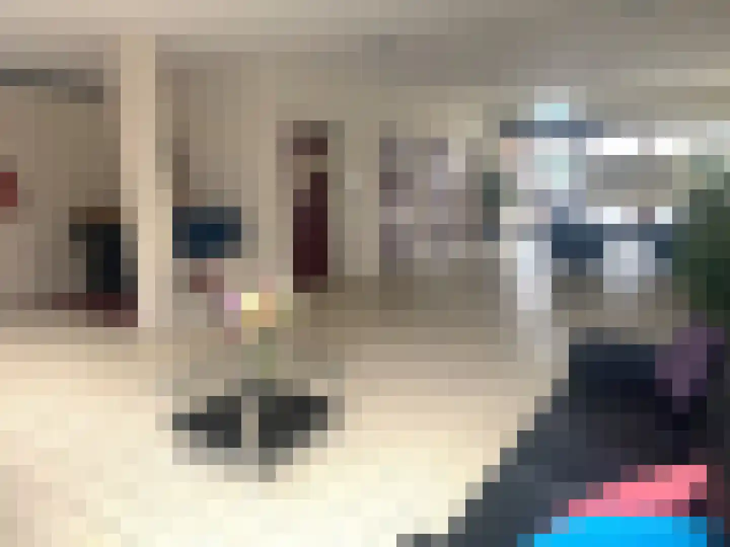 Willem de Zwijgerlaan 244 Alkmaar thumbnail 33