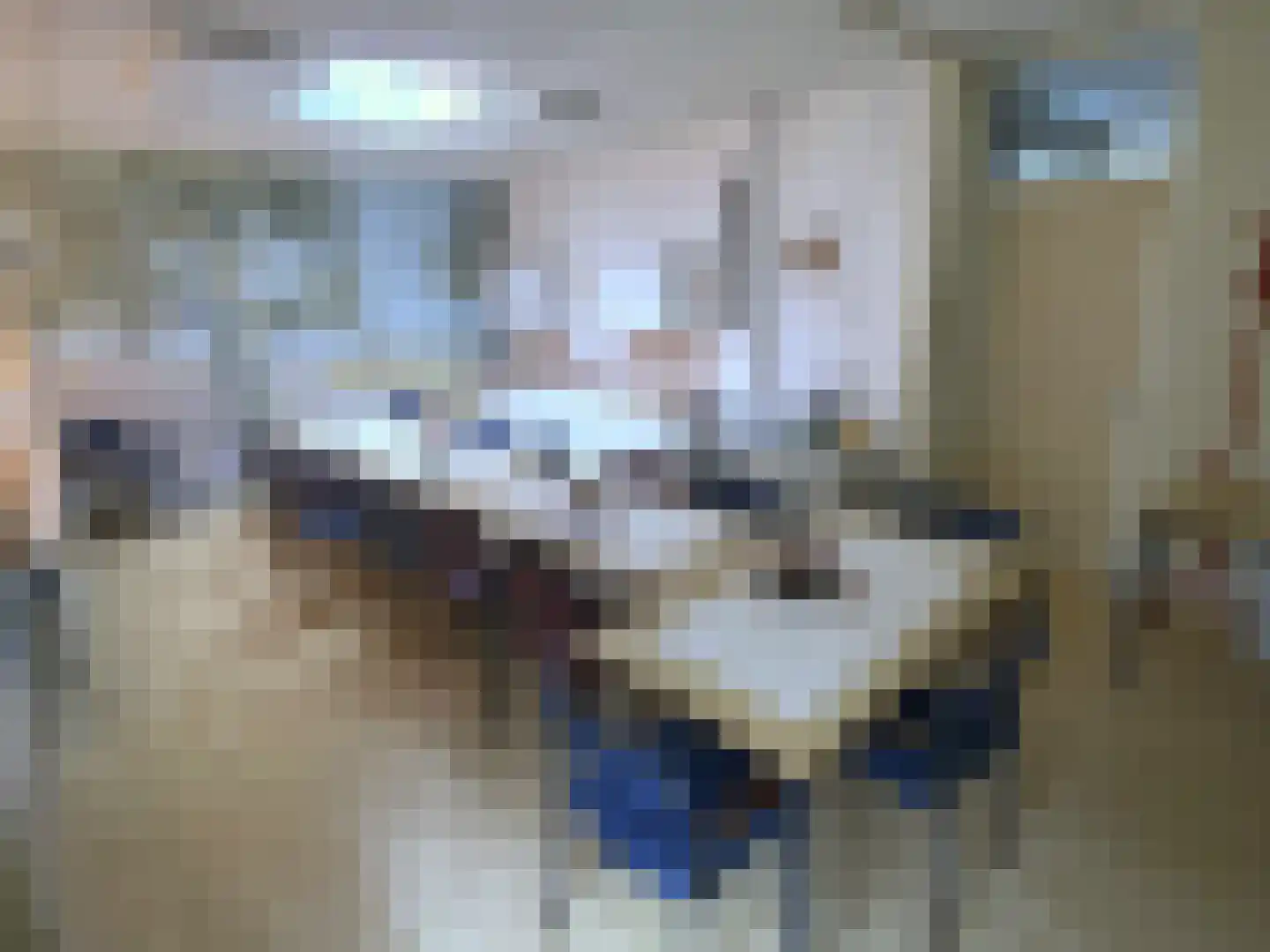 Willem de Zwijgerlaan 244 Alkmaar thumbnail 39