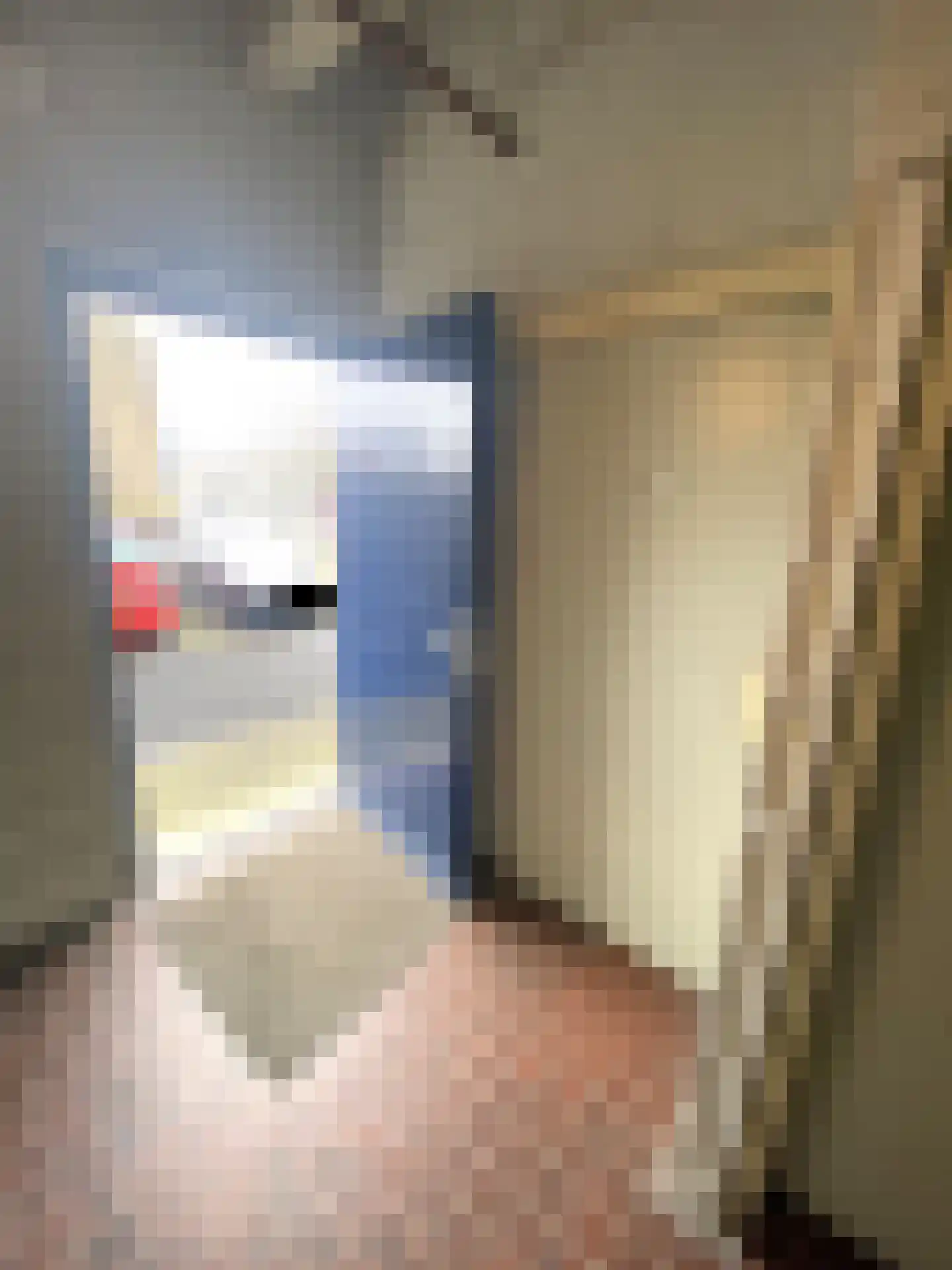 Willem de Zwijgerlaan 244 Alkmaar thumbnail 41