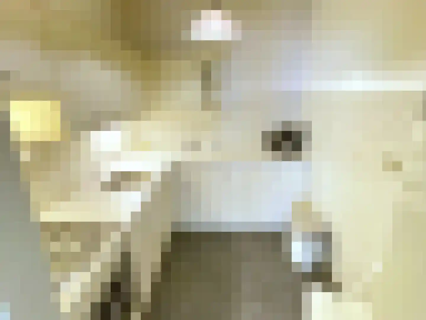Willem de Zwijgerlaan 244 Alkmaar thumbnail 8