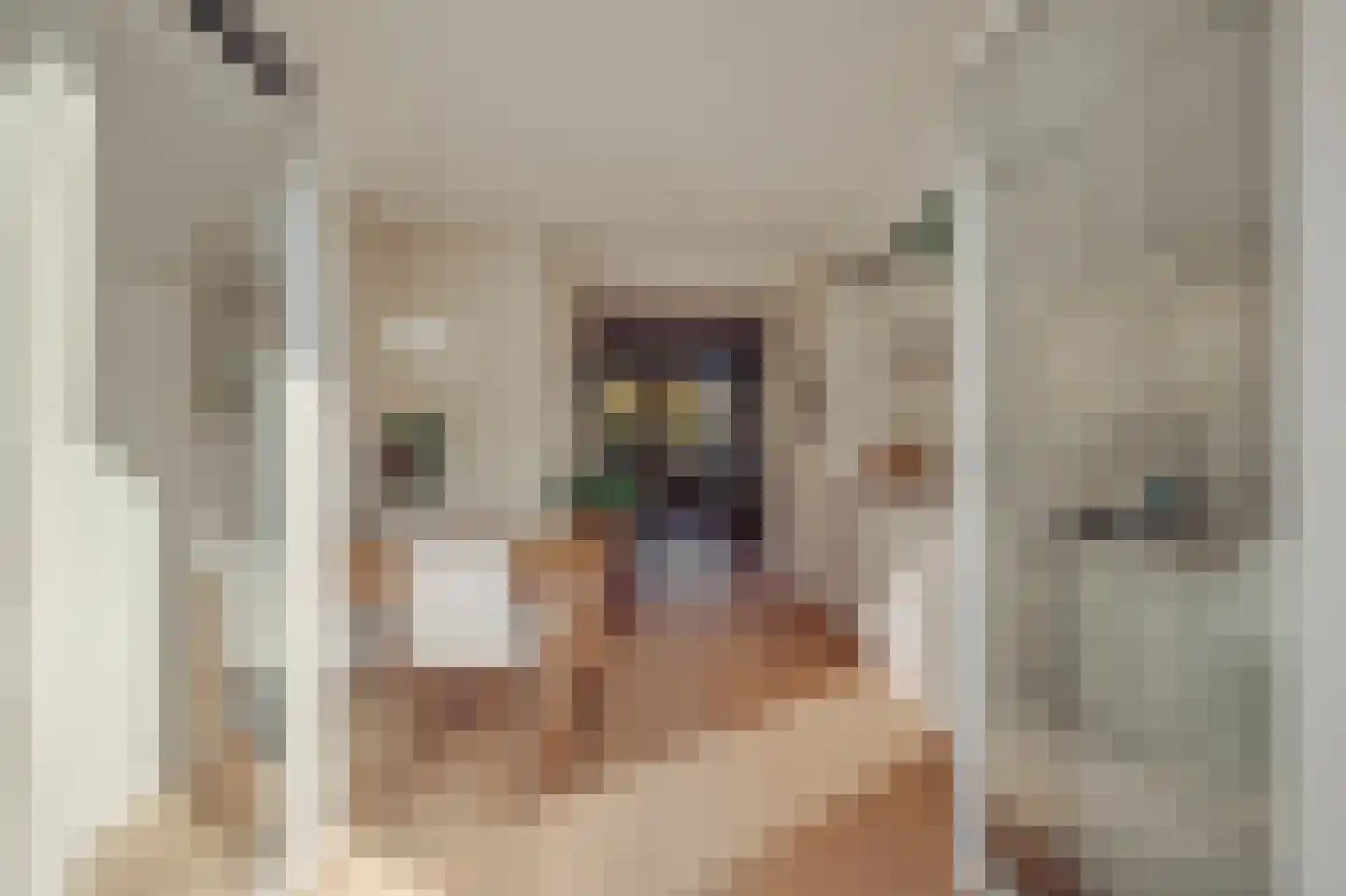 Willem de Zwijgerlaan 247 C Amsterdam thumbnail 15