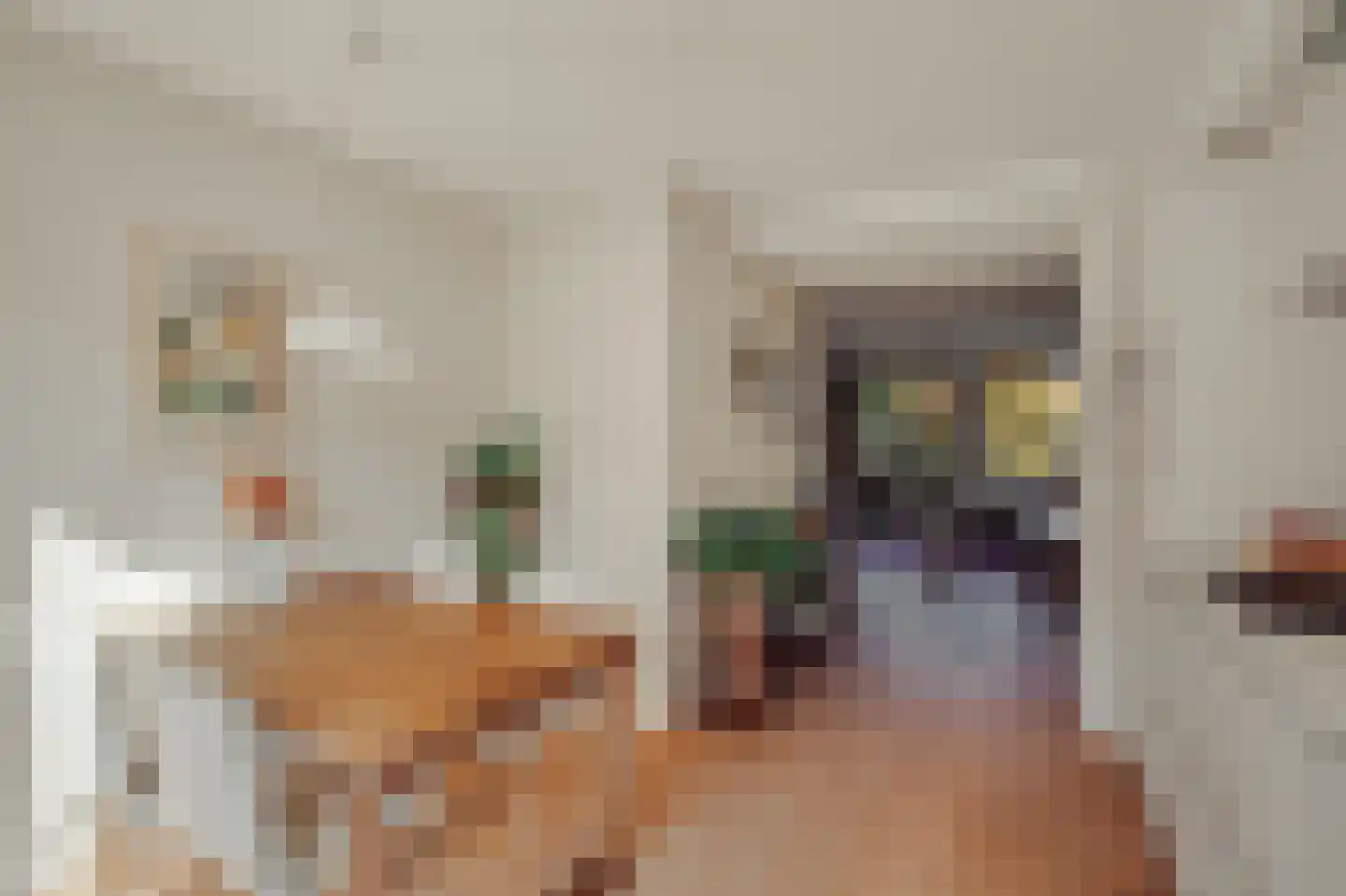 Willem de Zwijgerlaan 247 C Amsterdam thumbnail 16