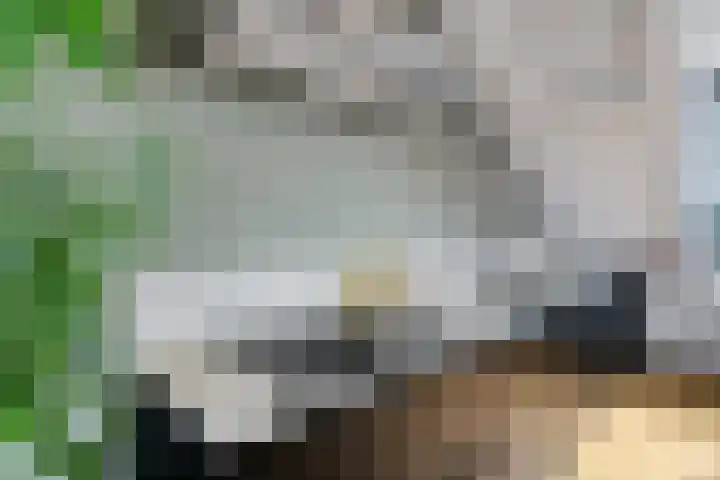 Willem de Zwijgerlaan 249 C Amsterdam thumbnail 14