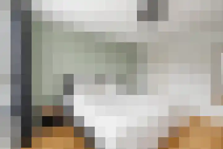 Willem de Zwijgerlaan 249 C Amsterdam thumbnail 20