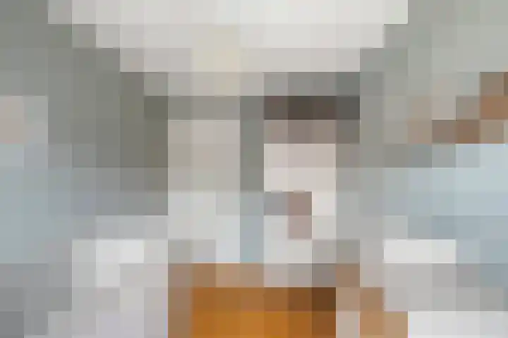 Willem de Zwijgerlaan 249 C Amsterdam thumbnail 26