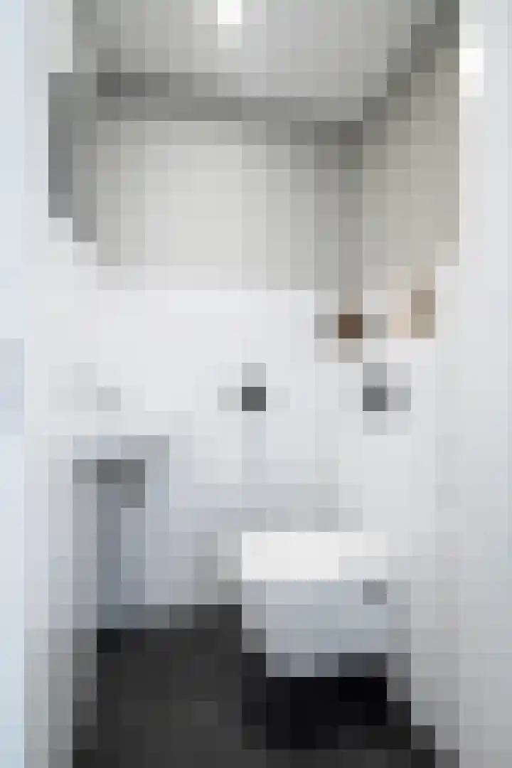 Willem de Zwijgerlaan 249 C Amsterdam thumbnail 8