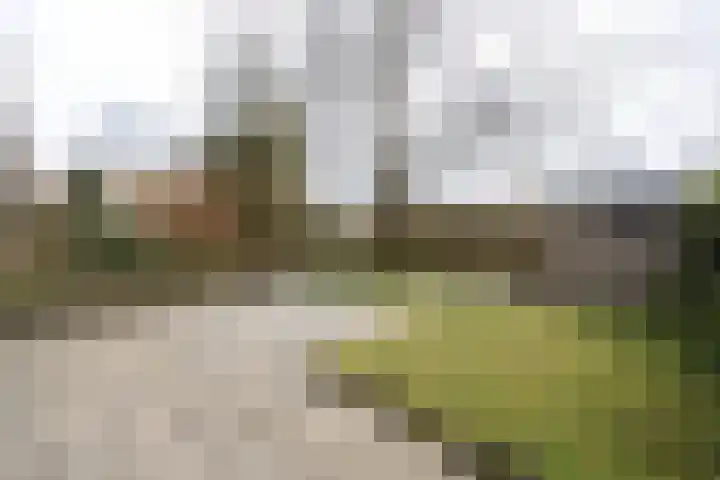 Willem de Zwijgerlaan 25 Alphen aan den Rijn thumbnail 14
