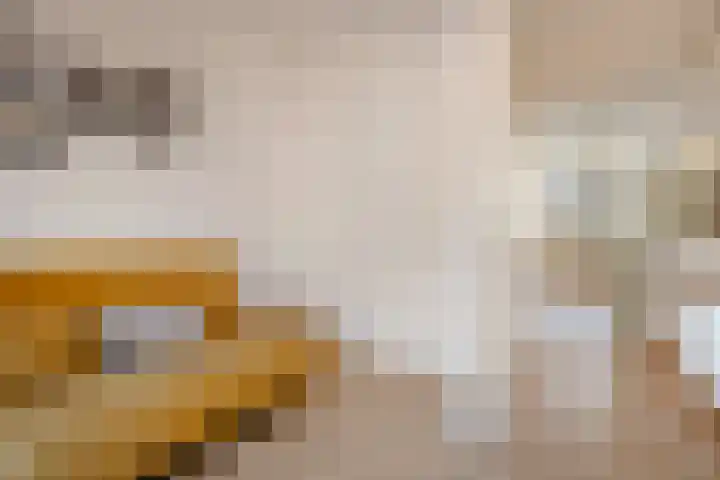 Willem de Zwijgerlaan 251 C Amsterdam thumbnail 14