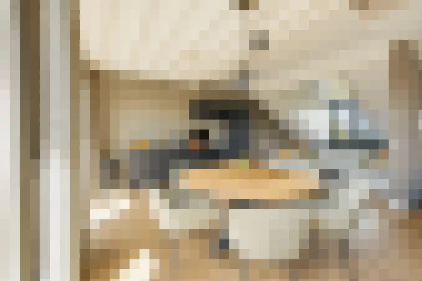 Willem de Zwijgerlaan 253 C Amsterdam thumbnail 4