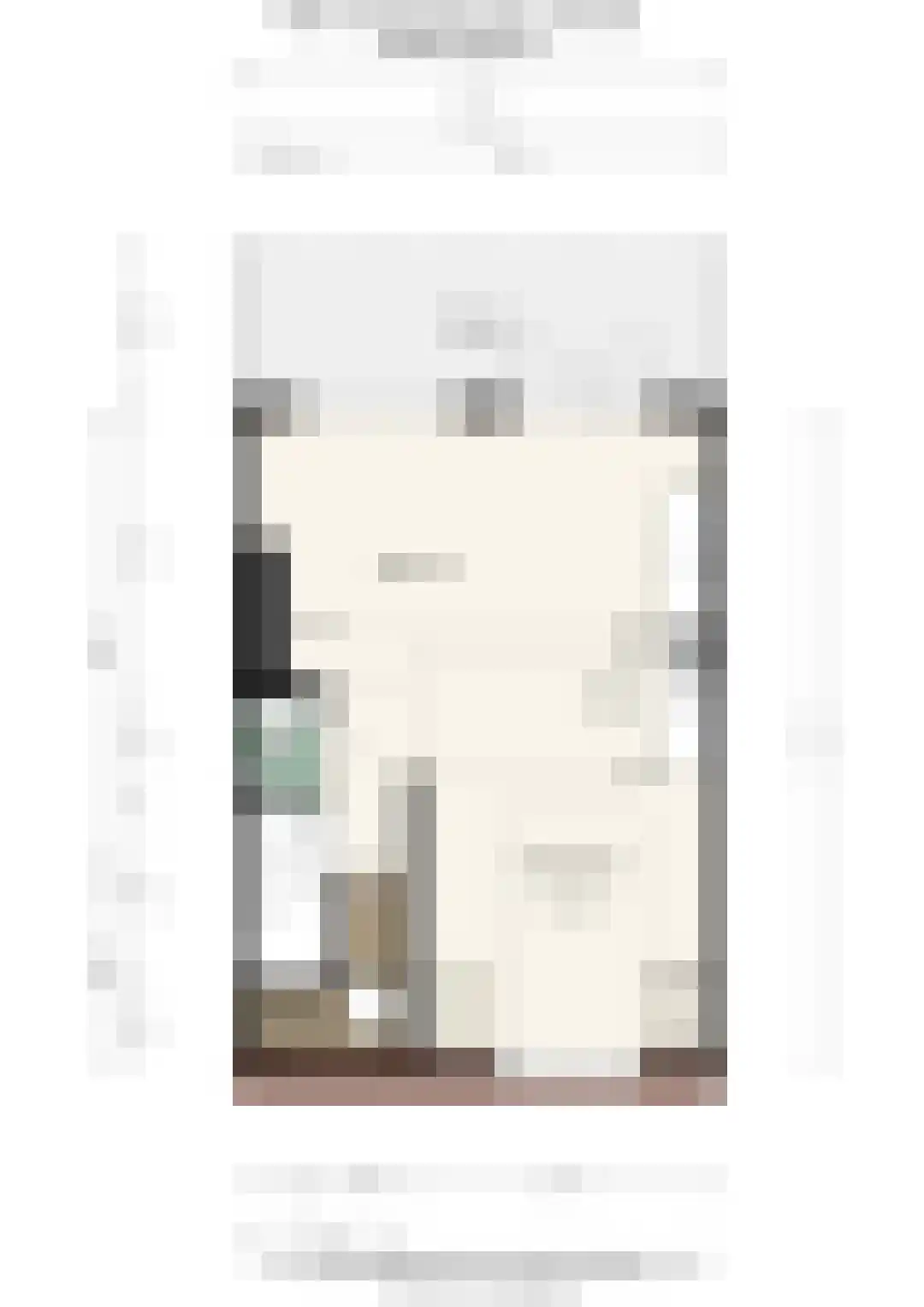 Willem de Zwijgerlaan 253 C Amsterdam thumbnail 40