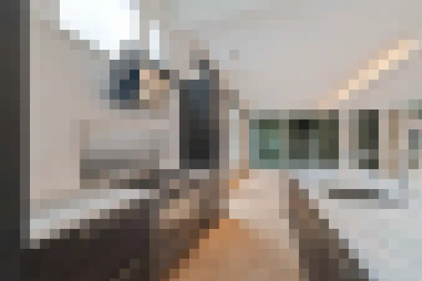 Willem de Zwijgerlaan 26 C Den Haag thumbnail 19