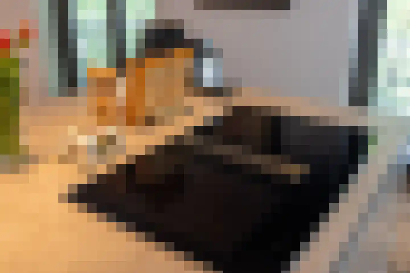 Willem de Zwijgerlaan 26 Vught thumbnail 12