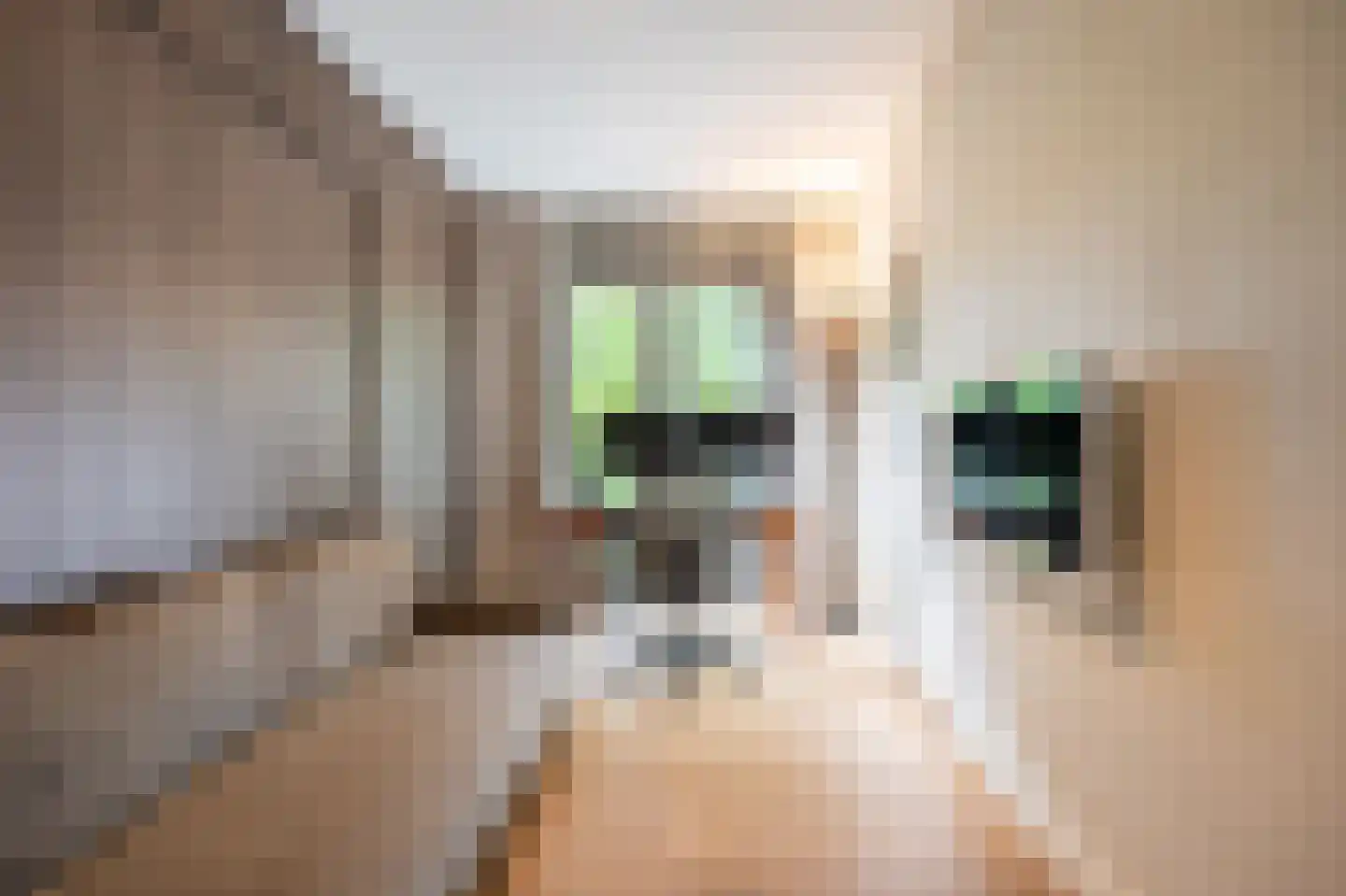 Willem de Zwijgerlaan 26 Vught thumbnail 19