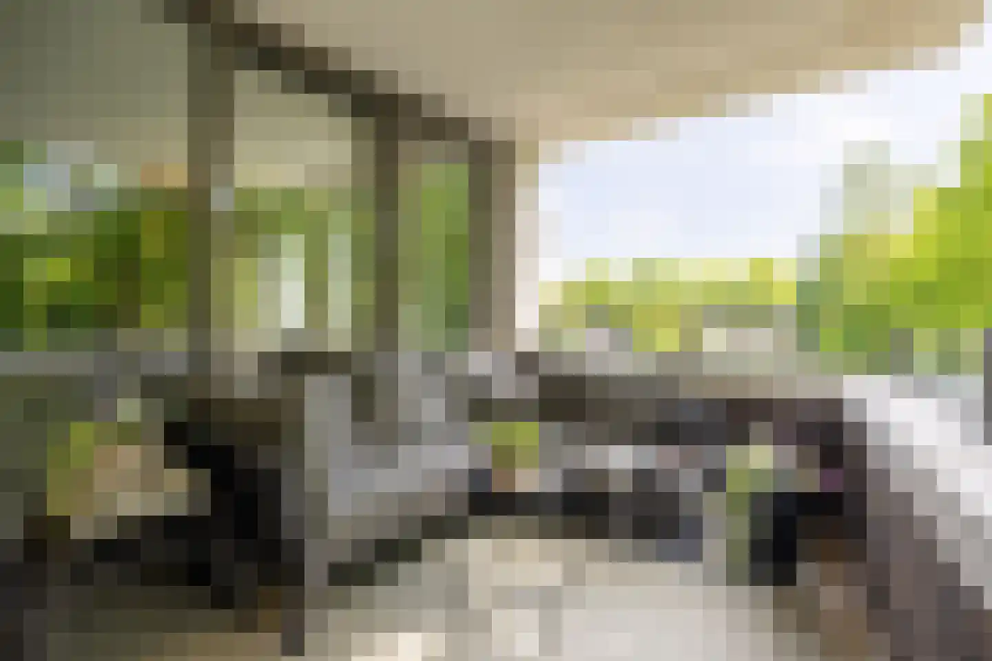 Willem de Zwijgerlaan 26 Vught thumbnail 23