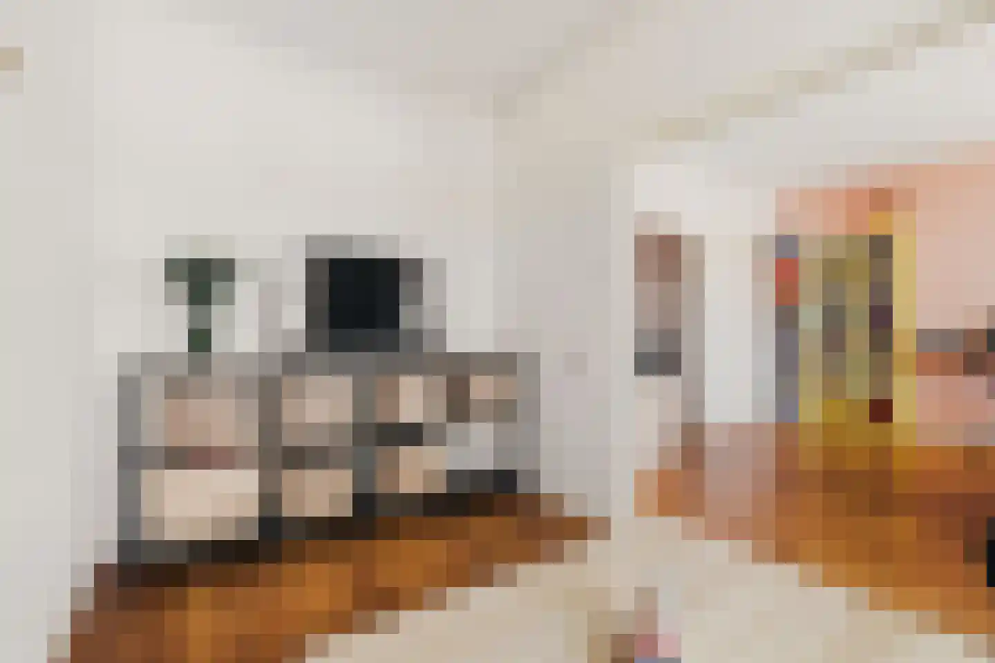 Willem de Zwijgerlaan 28 2 Amsterdam thumbnail 8