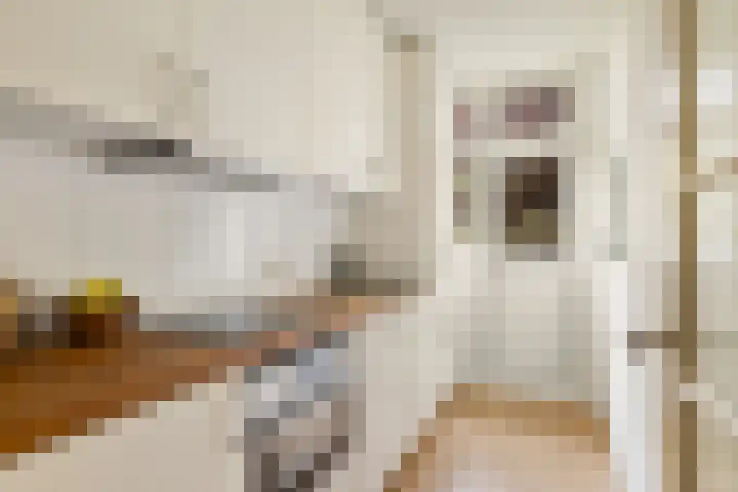 Willem de Zwijgerlaan 28 H Amsterdam thumbnail 11