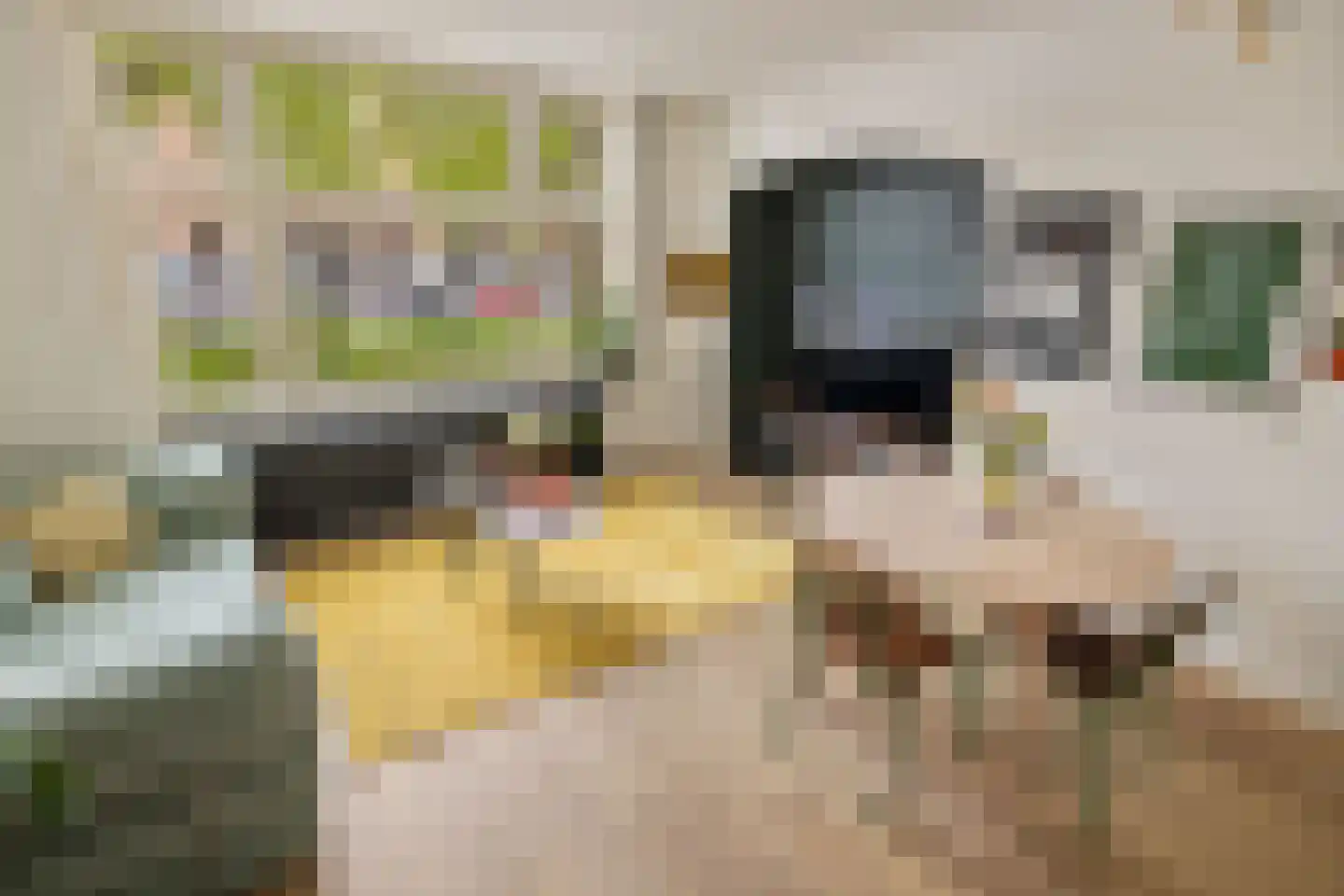 Willem de Zwijgerlaan 28 H Amsterdam thumbnail 11