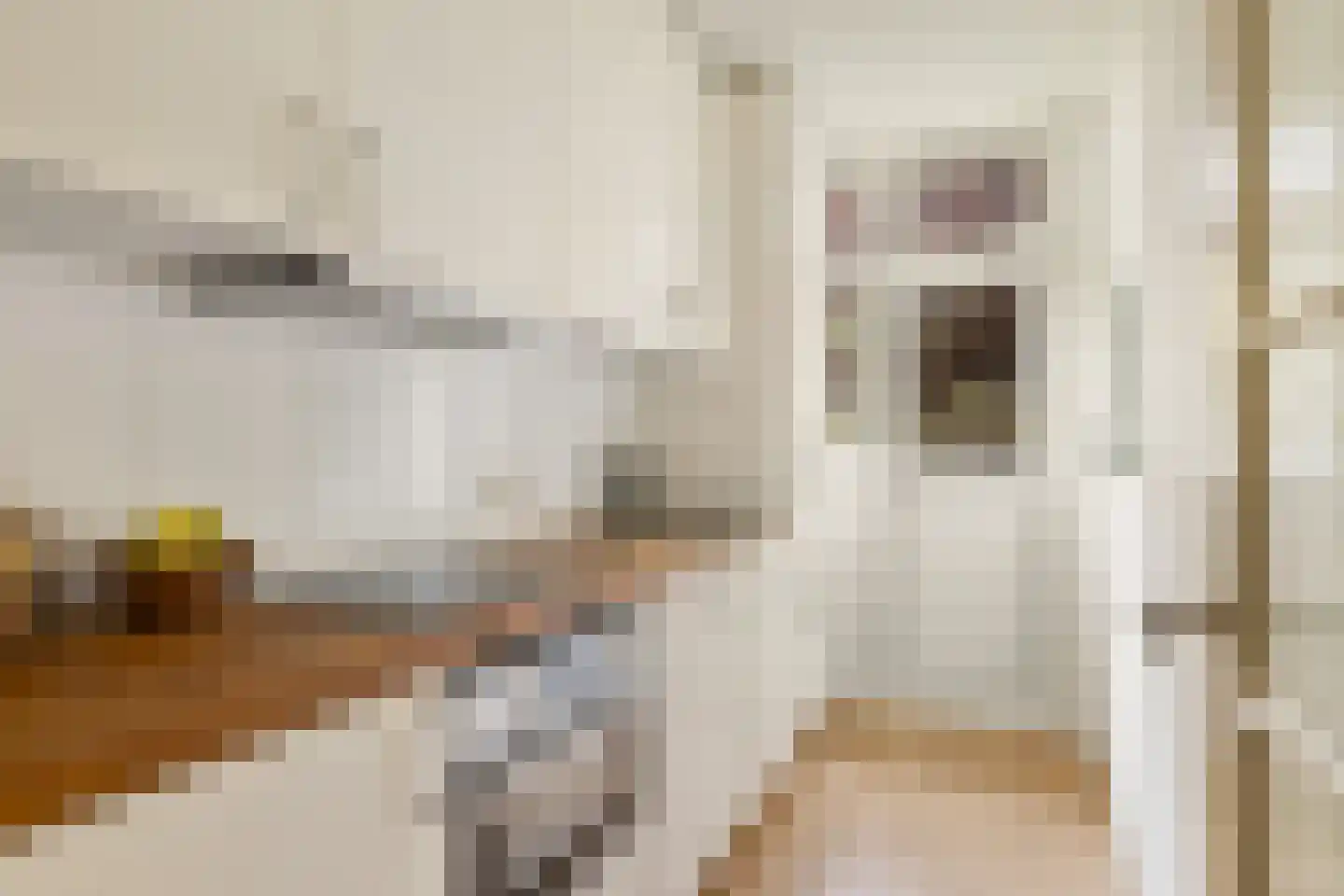 Willem de Zwijgerlaan 28 H Amsterdam thumbnail 12